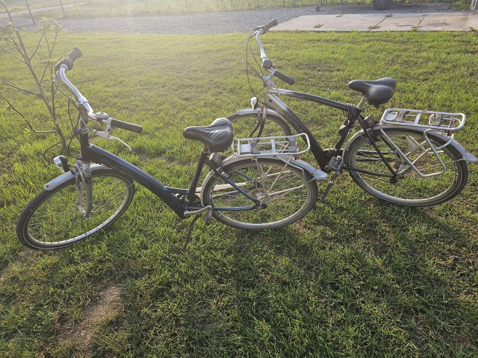 Rower miejski sparta damski i meski