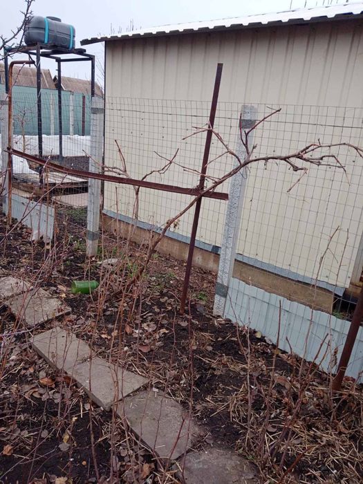 Продаю садовотческое общество Західне