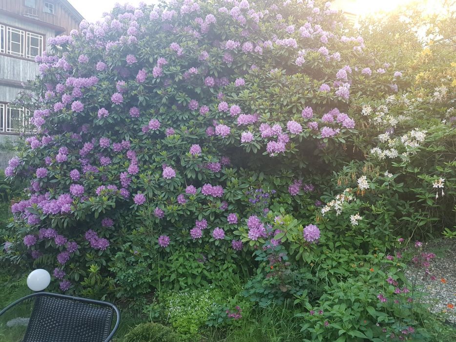 KLEO Pokoje Noclegi blisko wyciągu narciarskiego