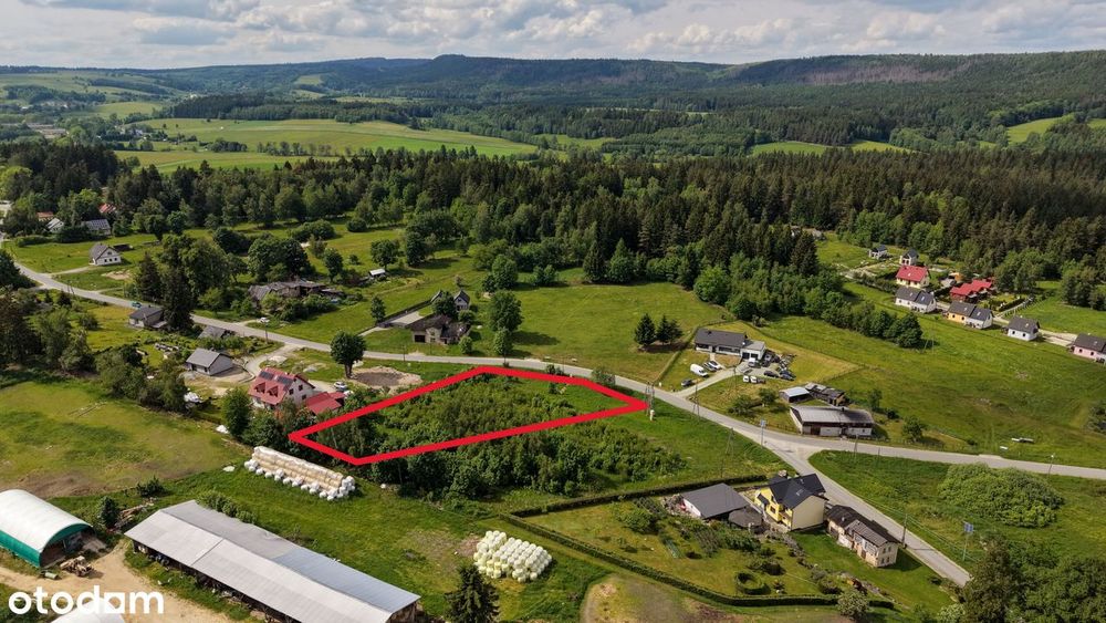 Złotno | działka pod domki całoroczne z planem inwestycji