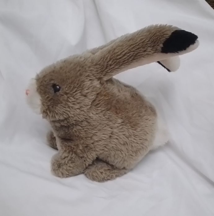 Енерційний зайчик