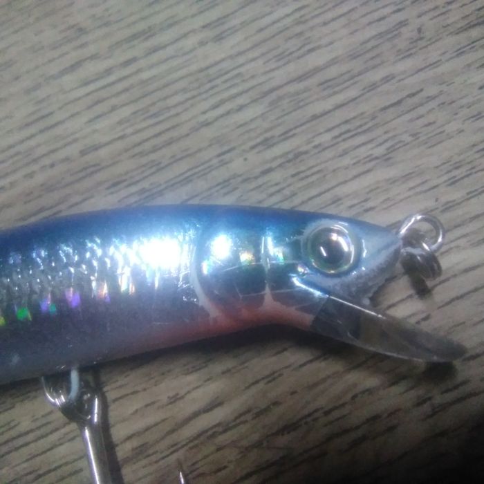 Woblery FL ,12 cm