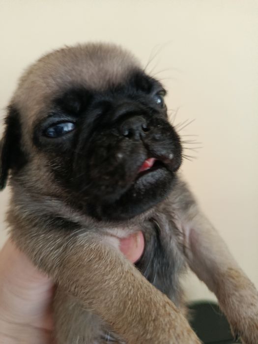 Шикарний хлопчик