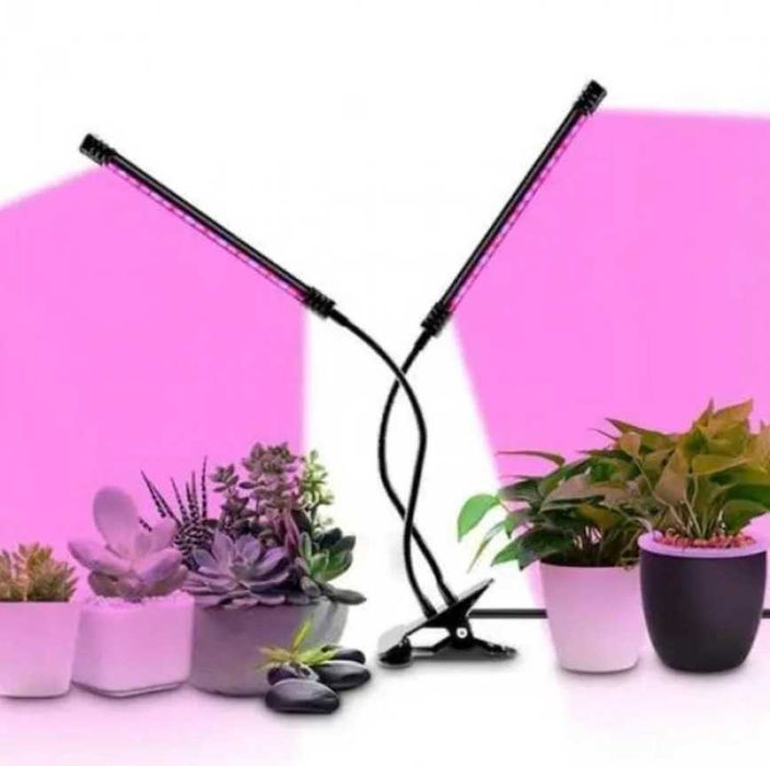 Фитолампа для растений 2 LED  на USB для рассады и цветов c таймером