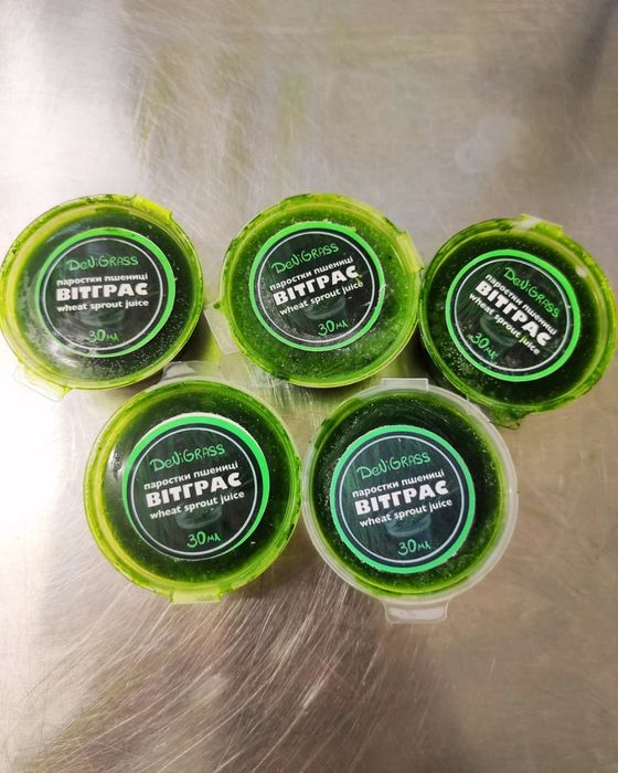 Сік з мікрозелені пшениці Вітграс живий, 70% хлорофіл, Дніпро