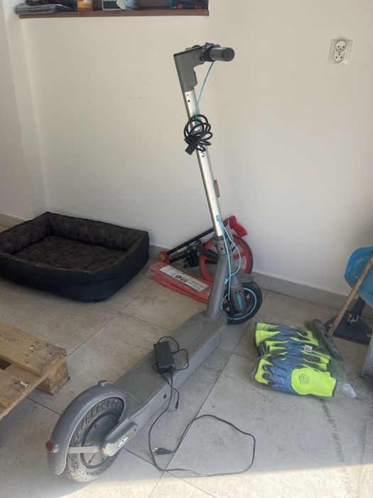 Motus scuti 10 2024