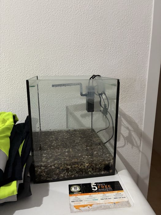 Vendo aquario com caracois