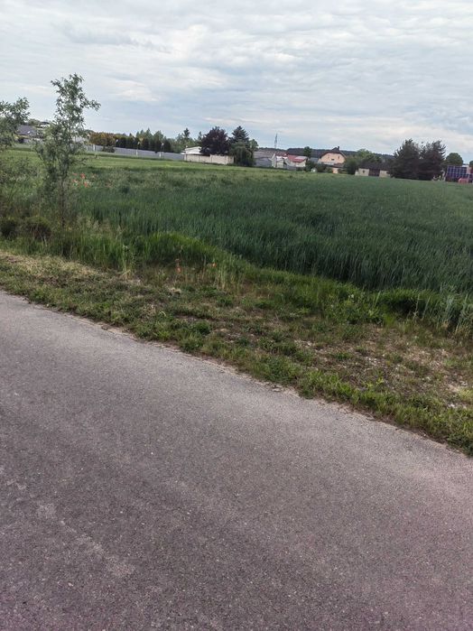 Działka 30ar Gręzów koło Siedlec Mazowieckie - Widok 3