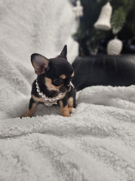 Prześliczna dziewczynka