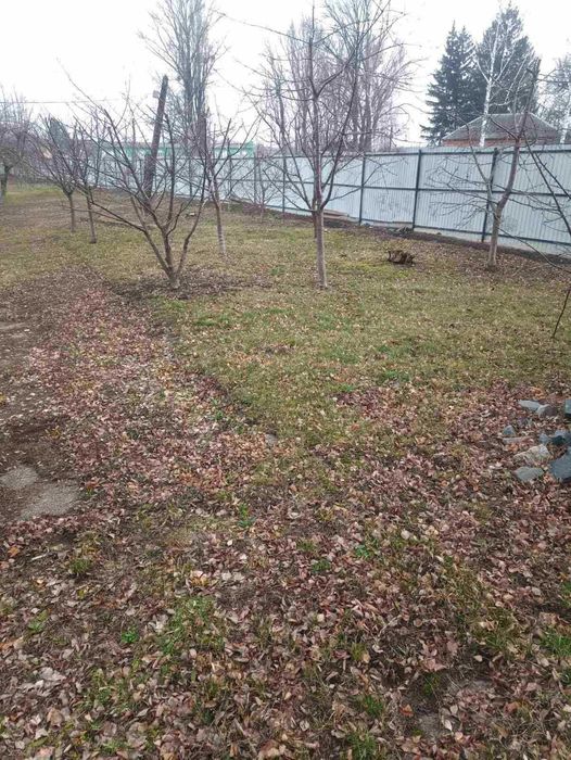 Комерійна нерухомість м.Шпола