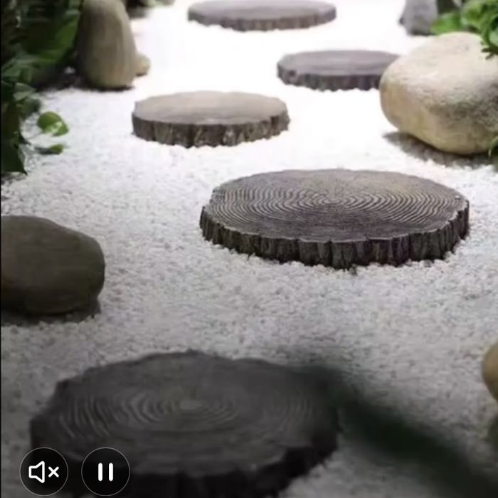 Ścieźka jak żółwi szlak