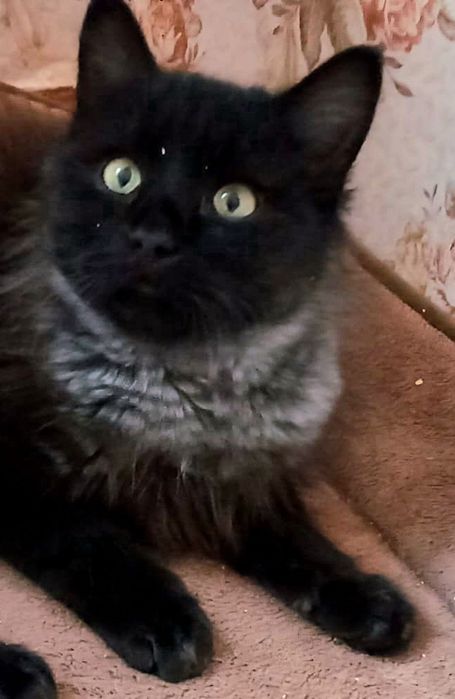 Mama z czarnym długowłosym synkiem-bardzo boją się wybuchów w Charkowi