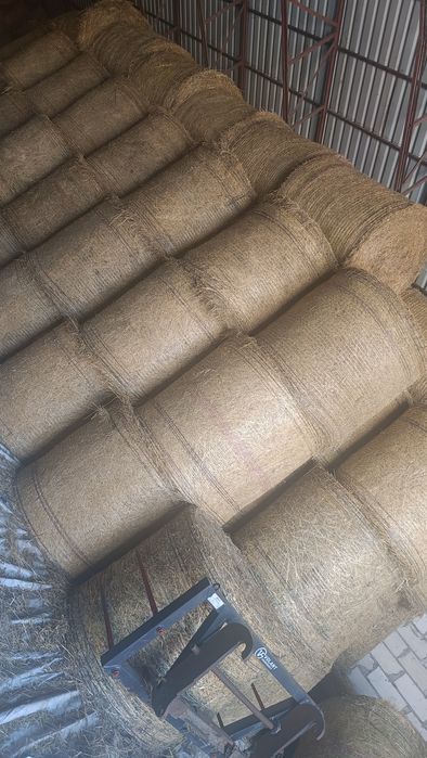 Siano suche z transportem