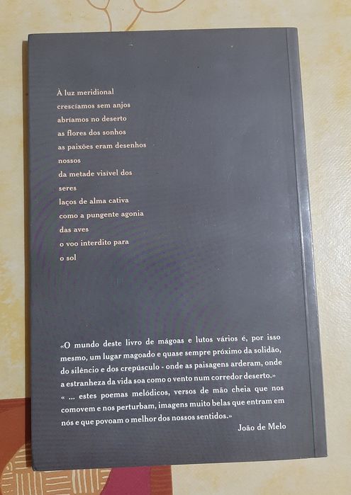 Livro "O Voo Interdito para o Sol"