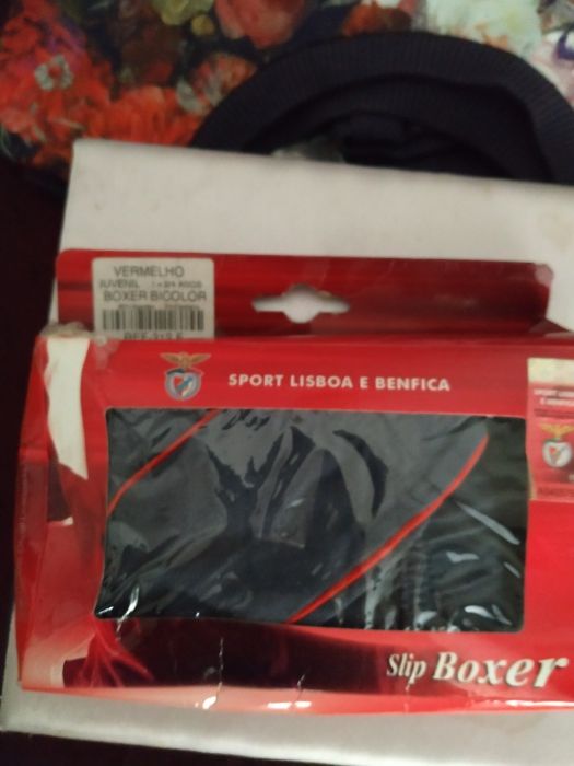 boxer oficial do benfica