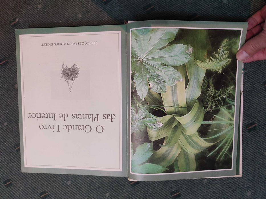 O Grande livro das Plantas de interior