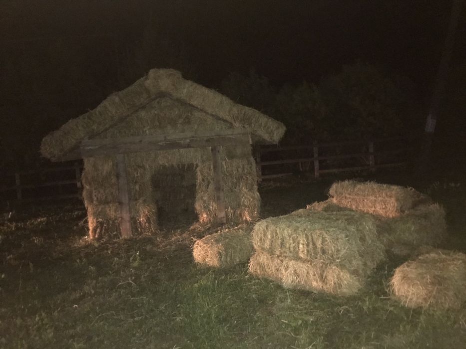 Продам сіно Киів обл в тюках, власник. Самовивіз.  Доставка сіна.