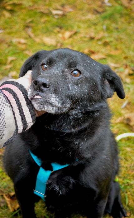 Nikt nie chce mnie pokochać