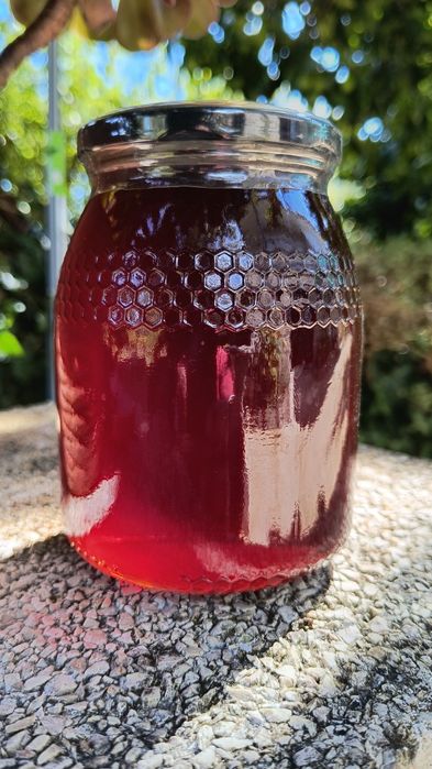 Mel puro do Apicultor