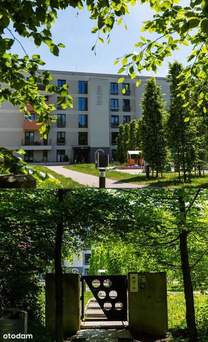2 pokoje | widok na zieleń | Grunwald | bez pośredników