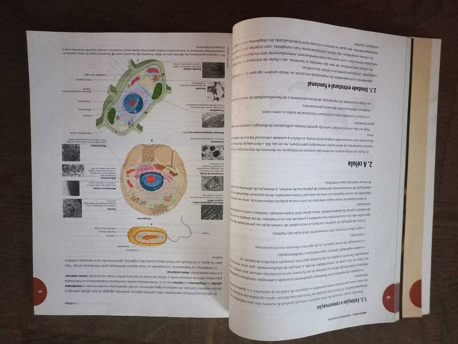 Preparação para o exame Final Nacional - Biologia e Geologia
