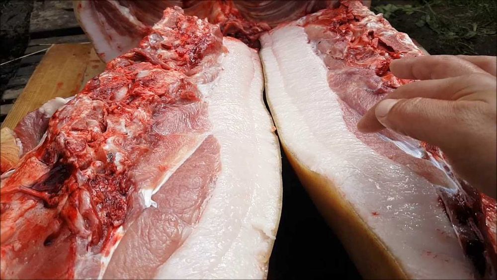 Свині Мангали Венгерскі