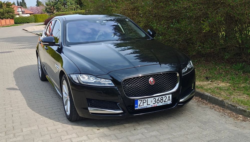 Jaguar XF Jaguar XF X260 2.0D Premium 180 KM | Panorama | Adaptacyjne LED