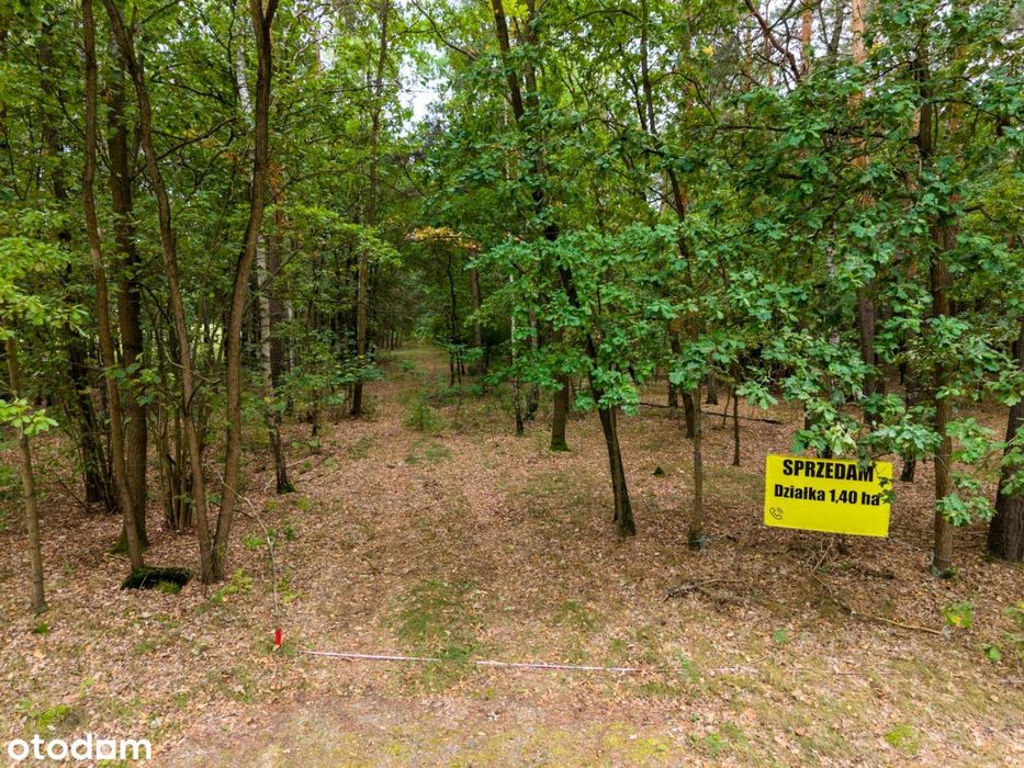 Otulona lasem – wyjątkowa działka 1,35 ha