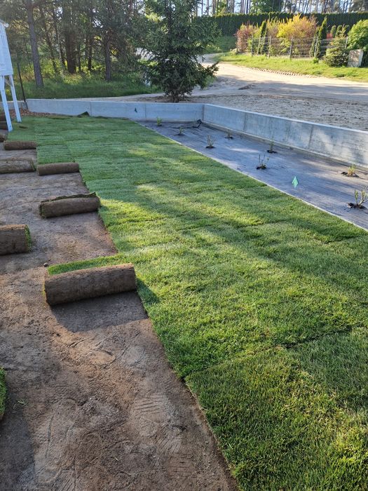 Trawa z rolki trawnik w rolce transport montaż