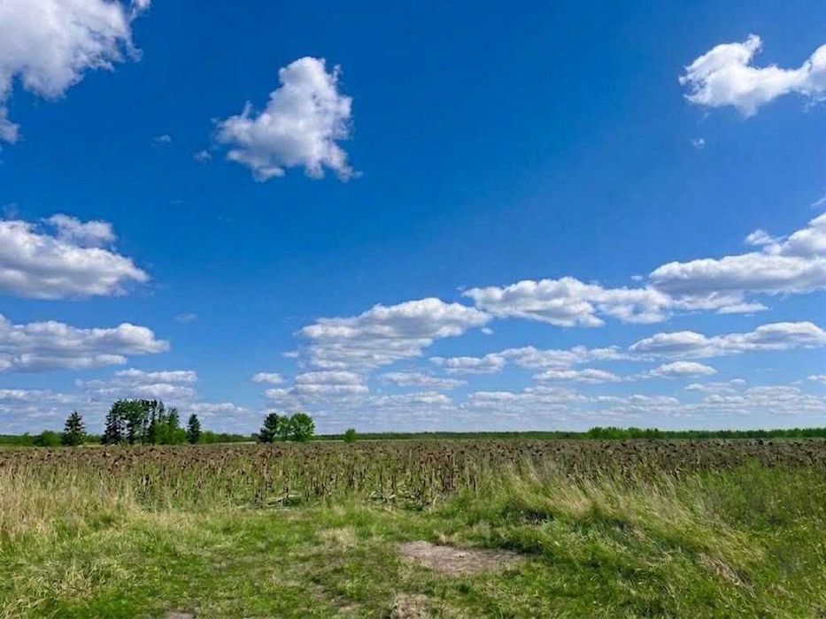 Продаж земельної ділянки 25 соток - ОСГ. Зручний заїзд. Біля лісосмуги. ID:607