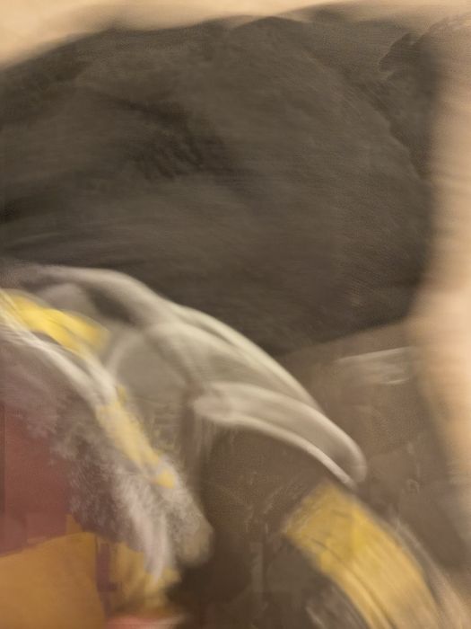 Bluza męska campus r l