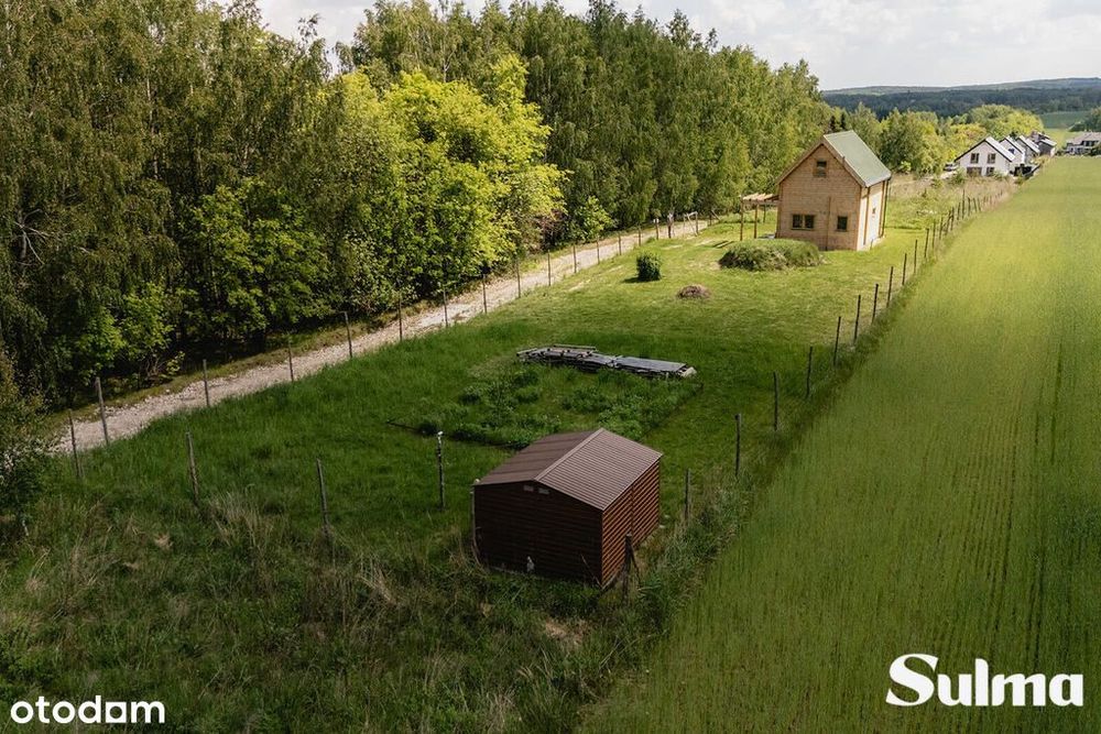 W samym sercu natury 889m Łódź | Bałuty I Moskule - Widok 5