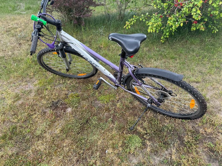 Rower  Giant z osprzętem Shimano.