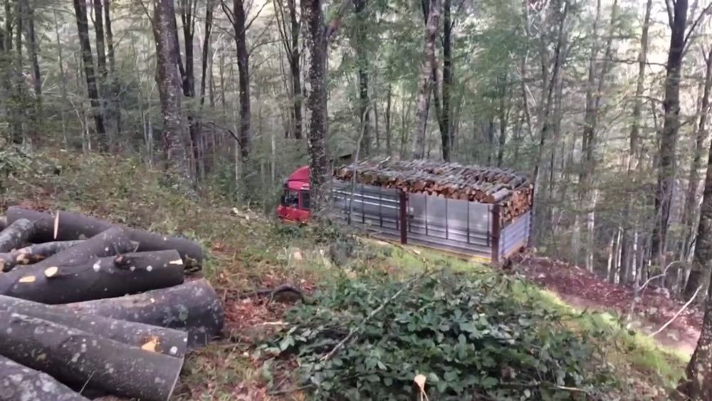 Дрова дуб граб дрова акація з доставкою по Київський області колоті