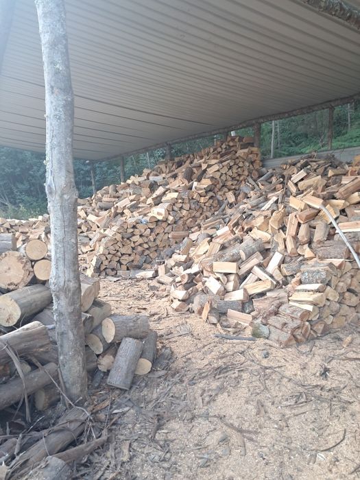 Todos os tipos de lenhas