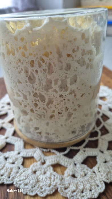 Zakwas pszenny Lievito Madre