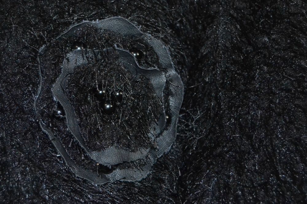 нарядная накидка"травка"