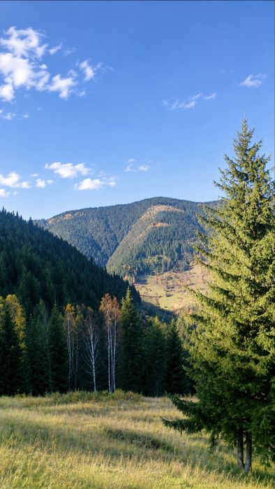 2 гектари в серці Карпат — земля під забудову у Криворівні