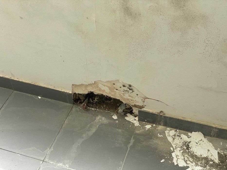 Limpeza e raspagem de varanda