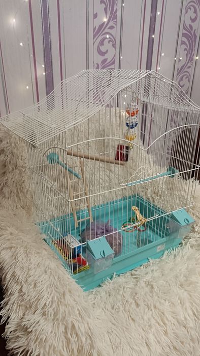 Продам клітку для птахів/ папуг/корел