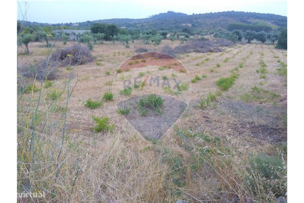 Terreno  para venda