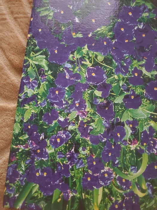 Журнал и блокноты