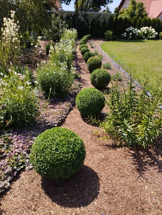 Firma ogrodnicza, ogrodnik, pielęgnacja, zakładanie ogrodów, trawniki