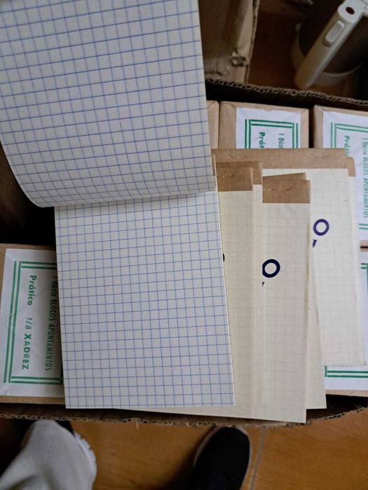 Cadernos pautados e quadriculados