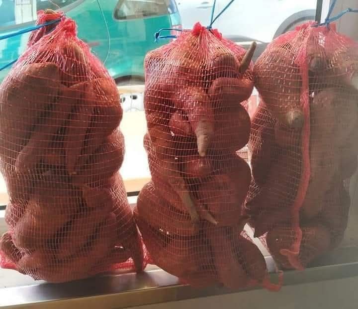 Vendo Batata doce