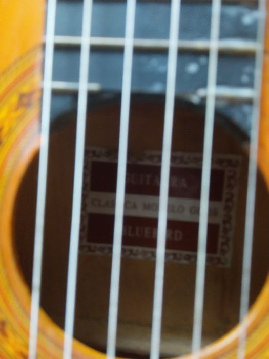 Viola classica como nova