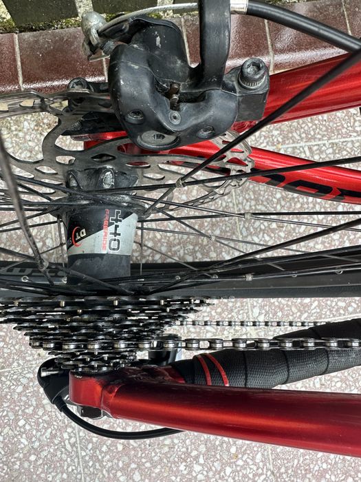 Rower Dartmoor Hornet 2019