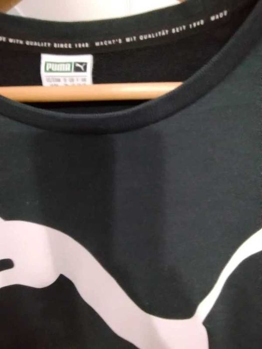 Bluza dobrej firmy