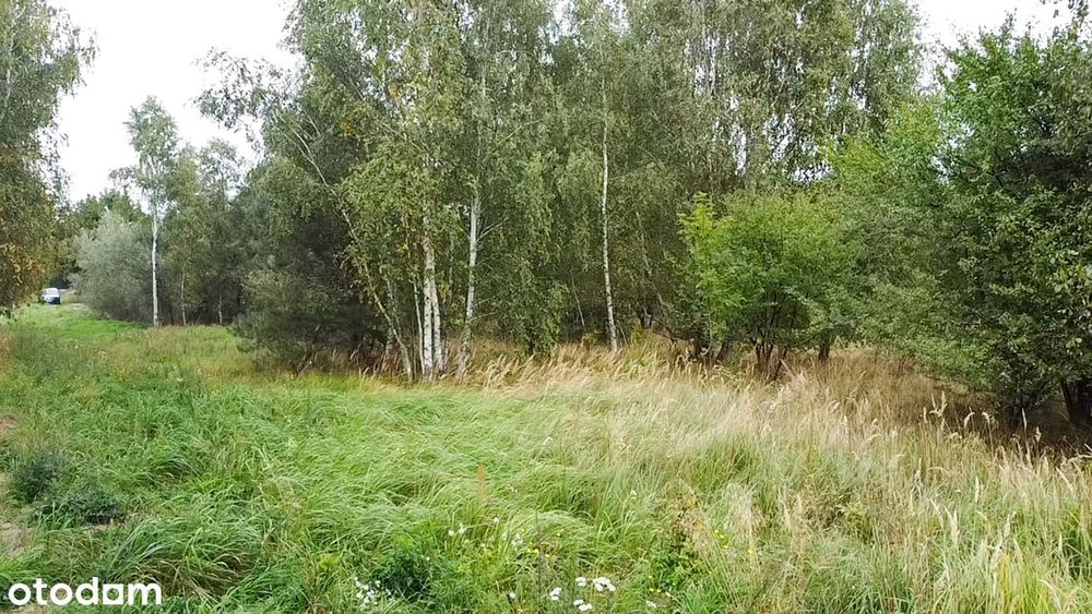 Zdjęcie 4