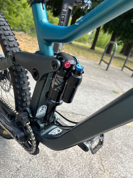 Scott gambler 910 de 2024 DH